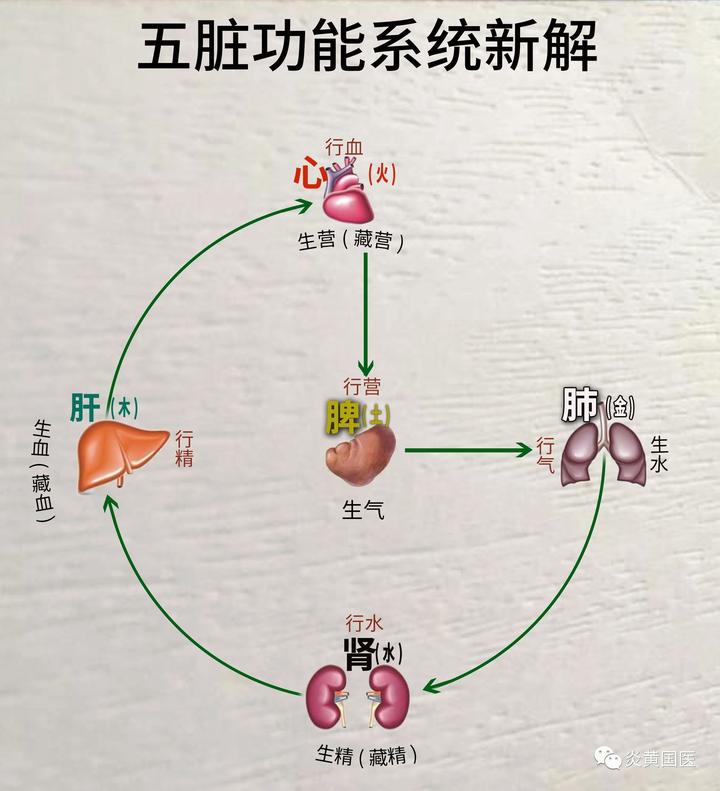  HỘI CHỨNG BỆNH TẠNG PHỦ