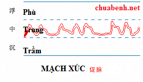 Mạch Xúc