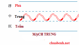Mạch Trung