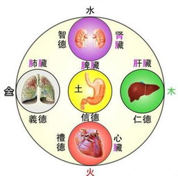  HỘI CHỨNG BỆNH TẠNG PHỦ