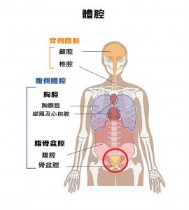 Đông Y chữa viêm khoang Xương Chậu ở Phụ Nữ