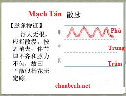 Mạch Tán