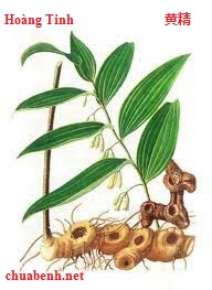 Hoàng Tinh