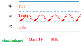 Mạch tế