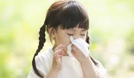 Viêm mũi dị ứng