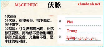 Mạch Phục