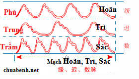 Mạch Hoãn