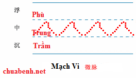 Mạch Vi