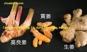 Cao Lương Khương: Tác dụng, liều dùng, kiêng kỵ 