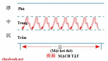 Mạch Tật