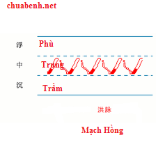 Mạch hồng