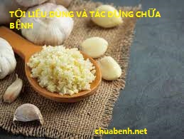 TỎI LIỀU DÙNG VÀ TÁC DỤNG CHỮA BỆNH