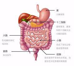  HỘI CHỨNG BỆNH TẠNG PHỦ