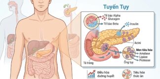 bệnh tiểu đường