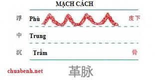 Mạch Cách