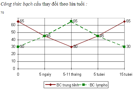bach-cau-tre-rm1