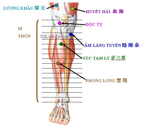 xac-dinh-huyet-chinh-xac